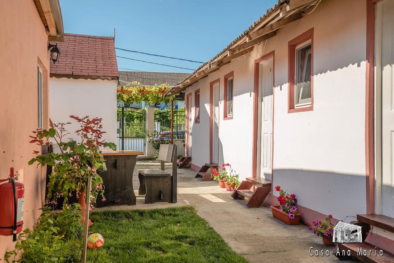 Вілла Casa Ana Maria Вама-Веке Екстер'єр фото